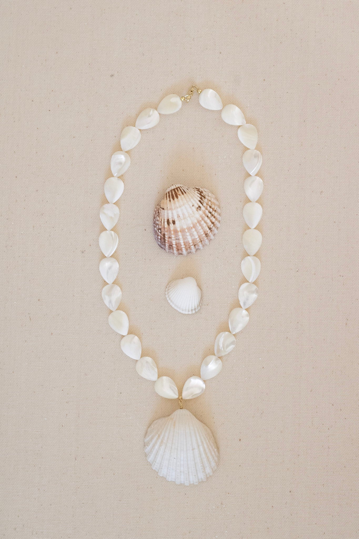 A shell-bead necklace with a large scallop shell pendant, displayed on a neutral beige background alongside two small seashells.
