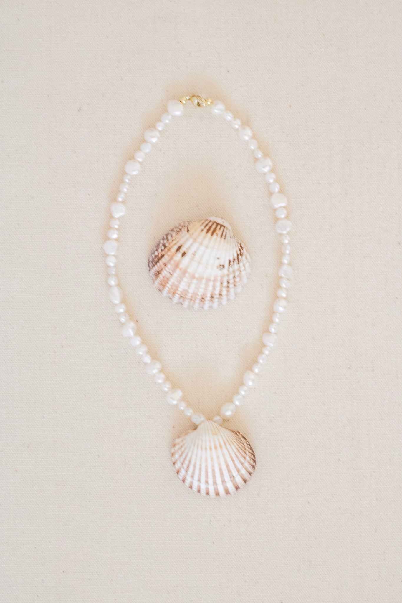 A beaded necklace made of small white pearls with a large scallop shell pendant, displayed on a light beige background.