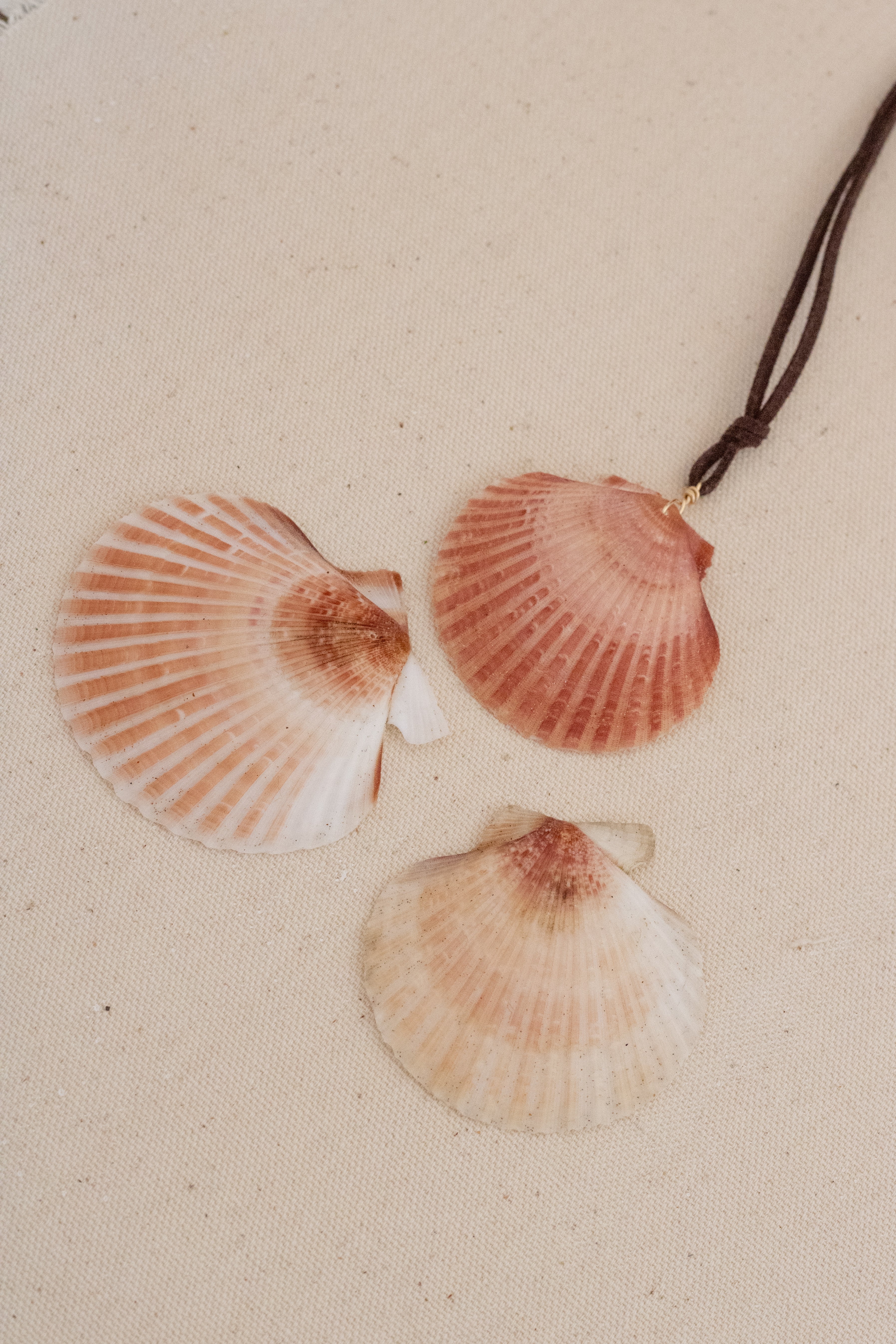 Brown Rust Shell One Off Design