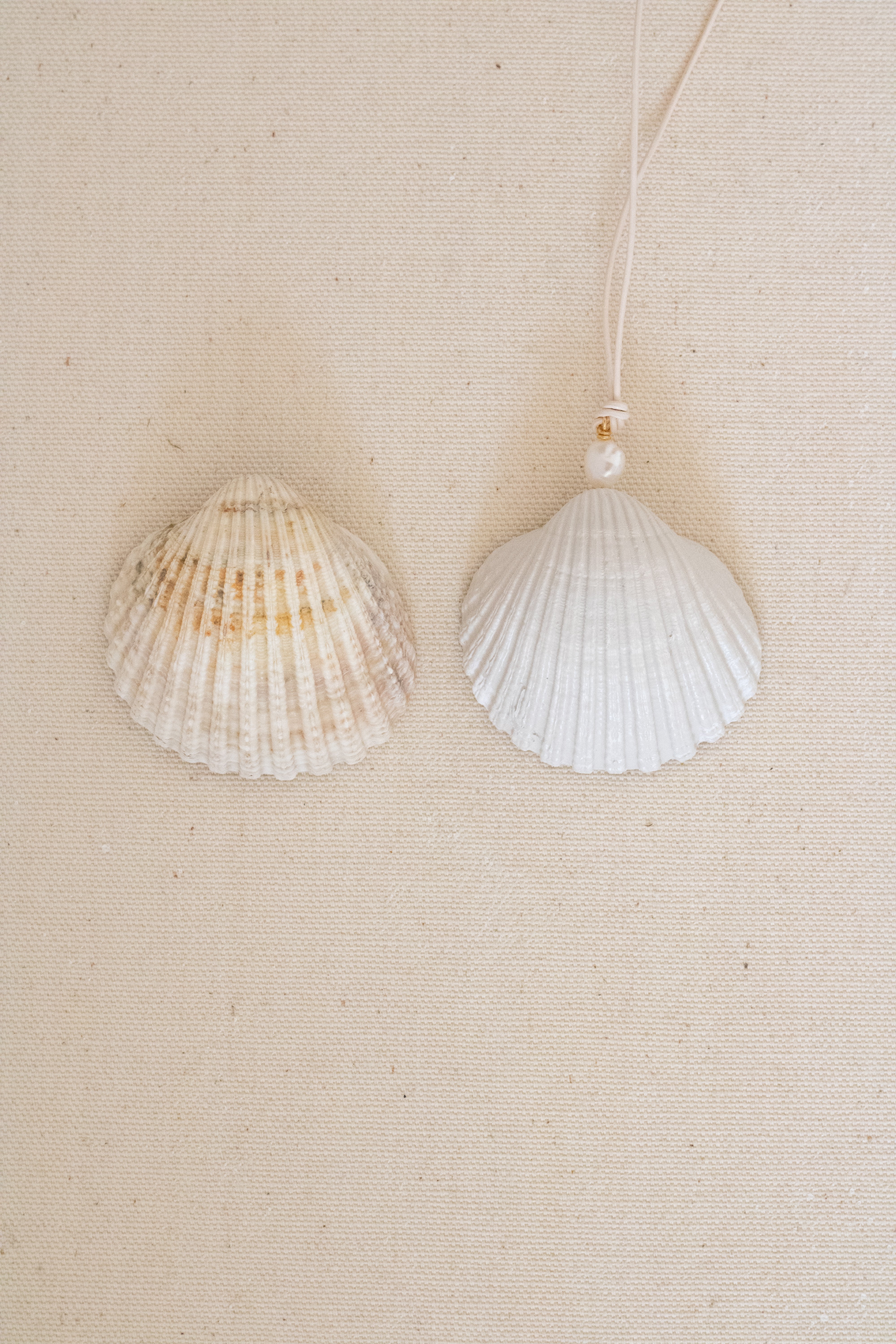 Mara Leather Shell Necklace