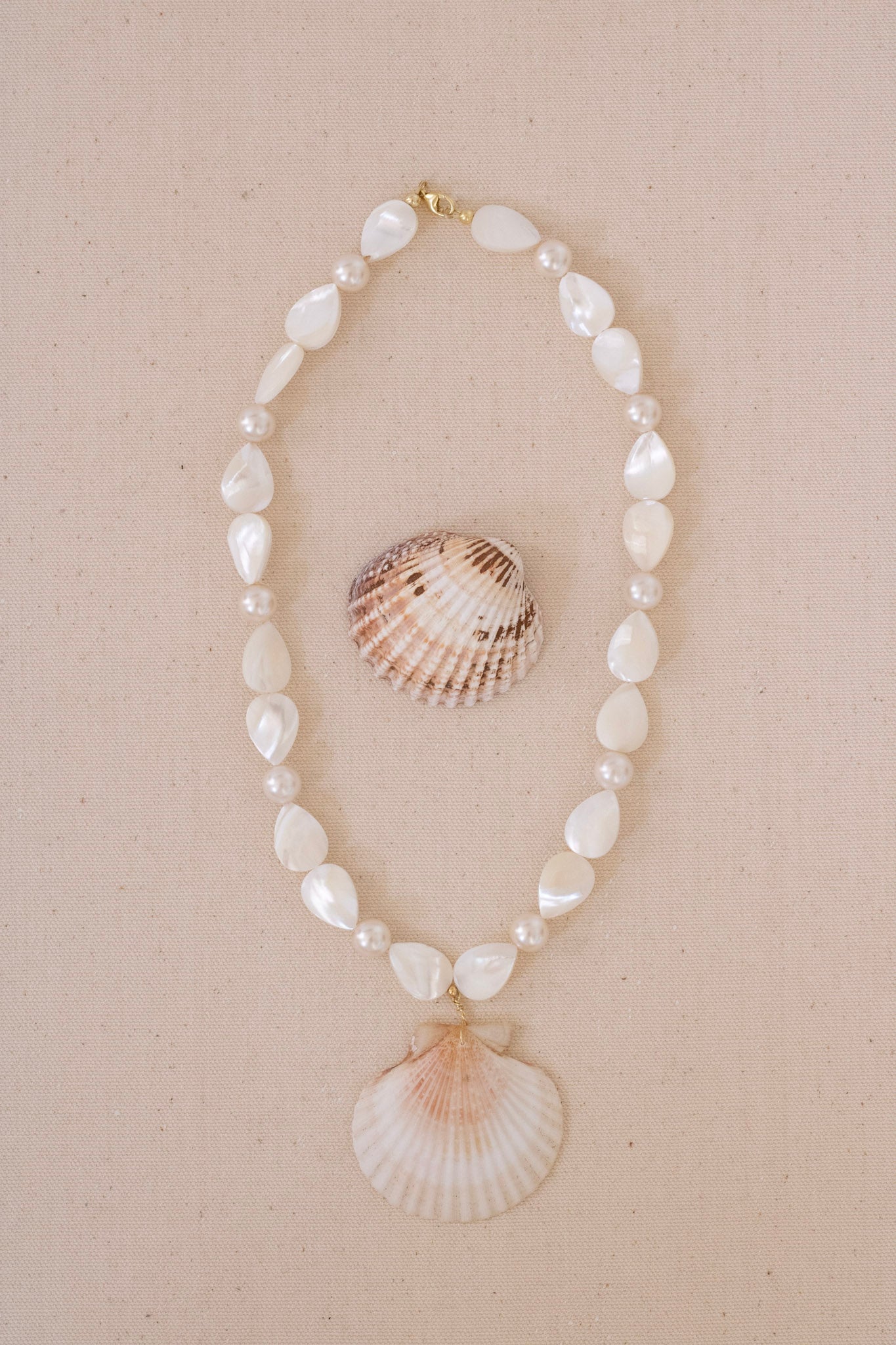 A beaded necklace featuring white shell-shaped beads, small pearl-like beads, and a large white seashell pendant, displayed on a neutral beige background next to a small seashell.